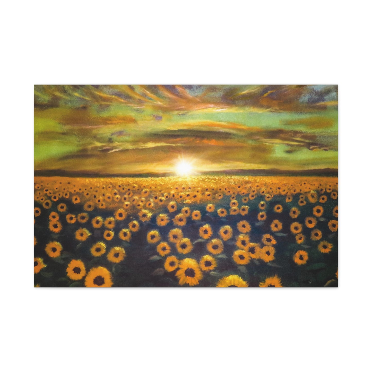 Let the Sunshine in | Canvas Print | Fine Art Collectable