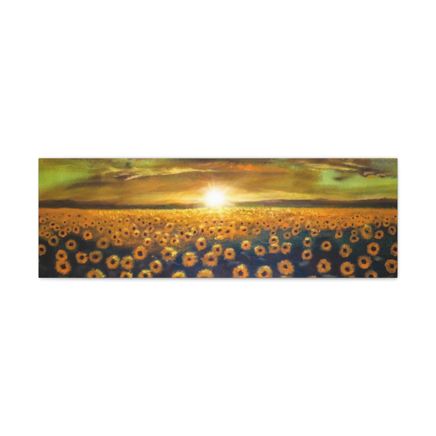 Let the Sunshine in | Canvas Print | Fine Art Collectable