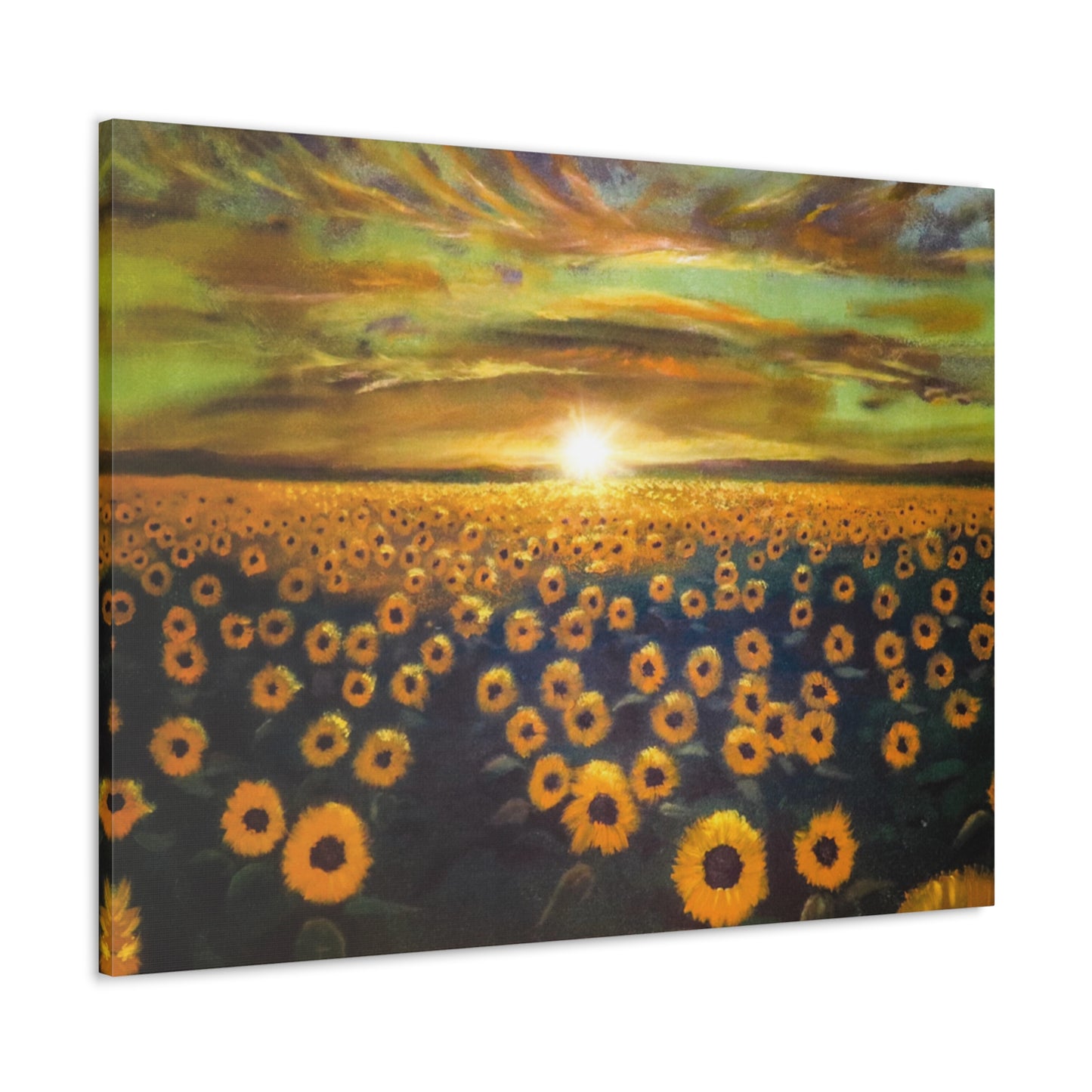 Let the Sunshine in | Canvas Print | Fine Art Collectable