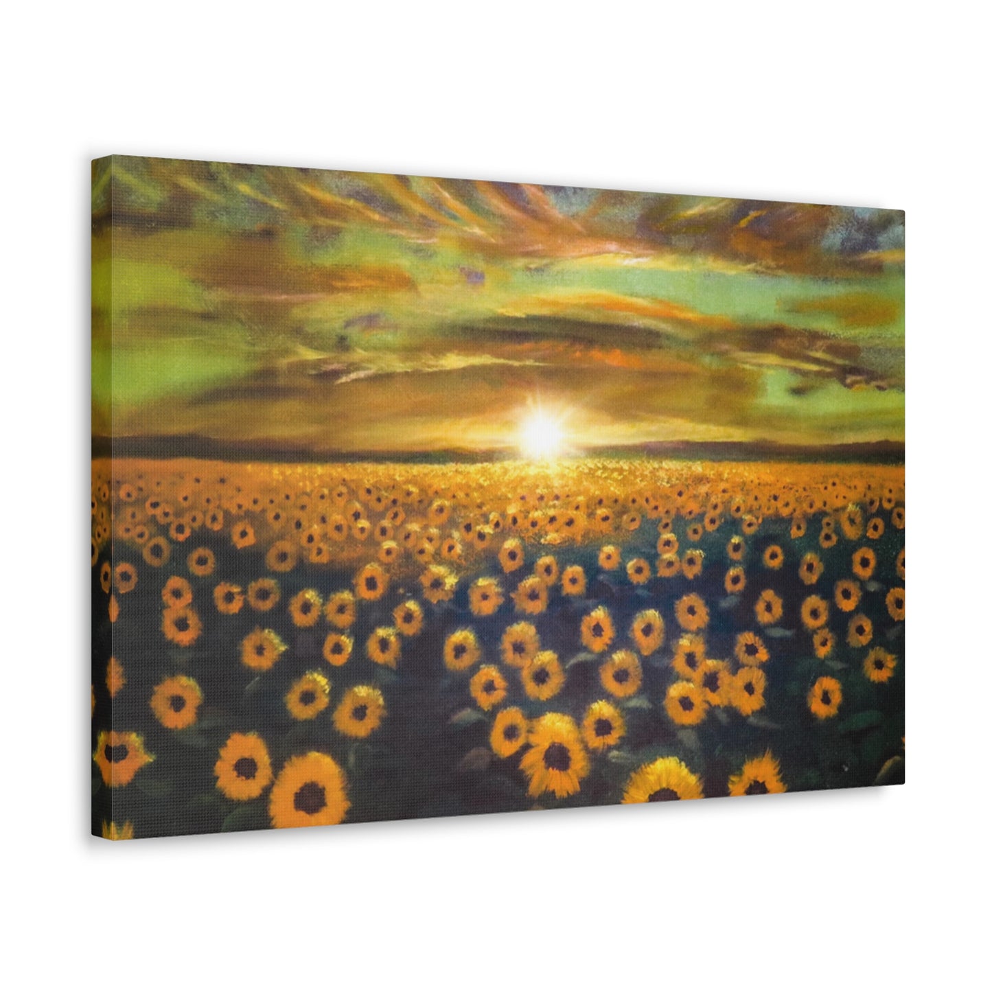 Let the Sunshine in | Canvas Print | Fine Art Collectable
