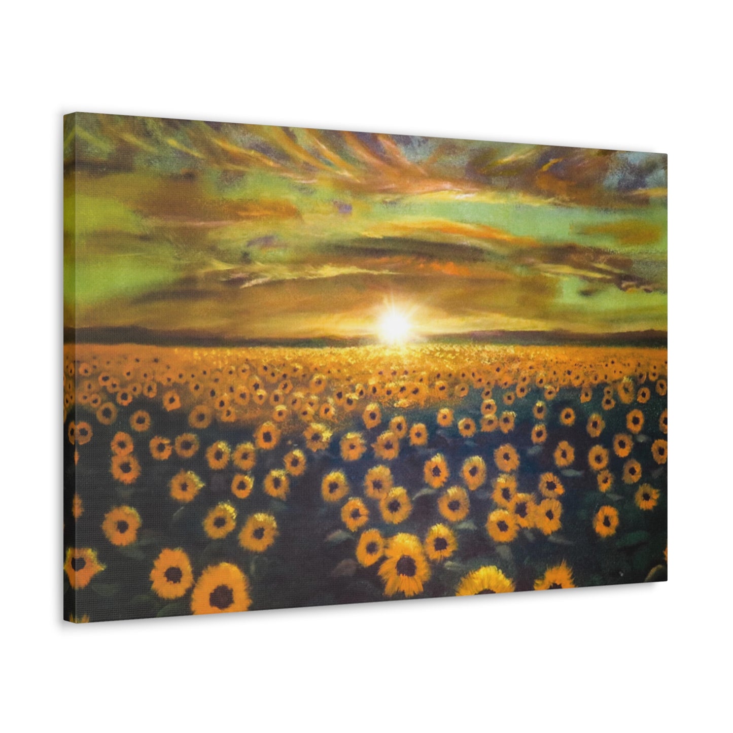 Let the Sunshine in | Canvas Print | Fine Art Collectable