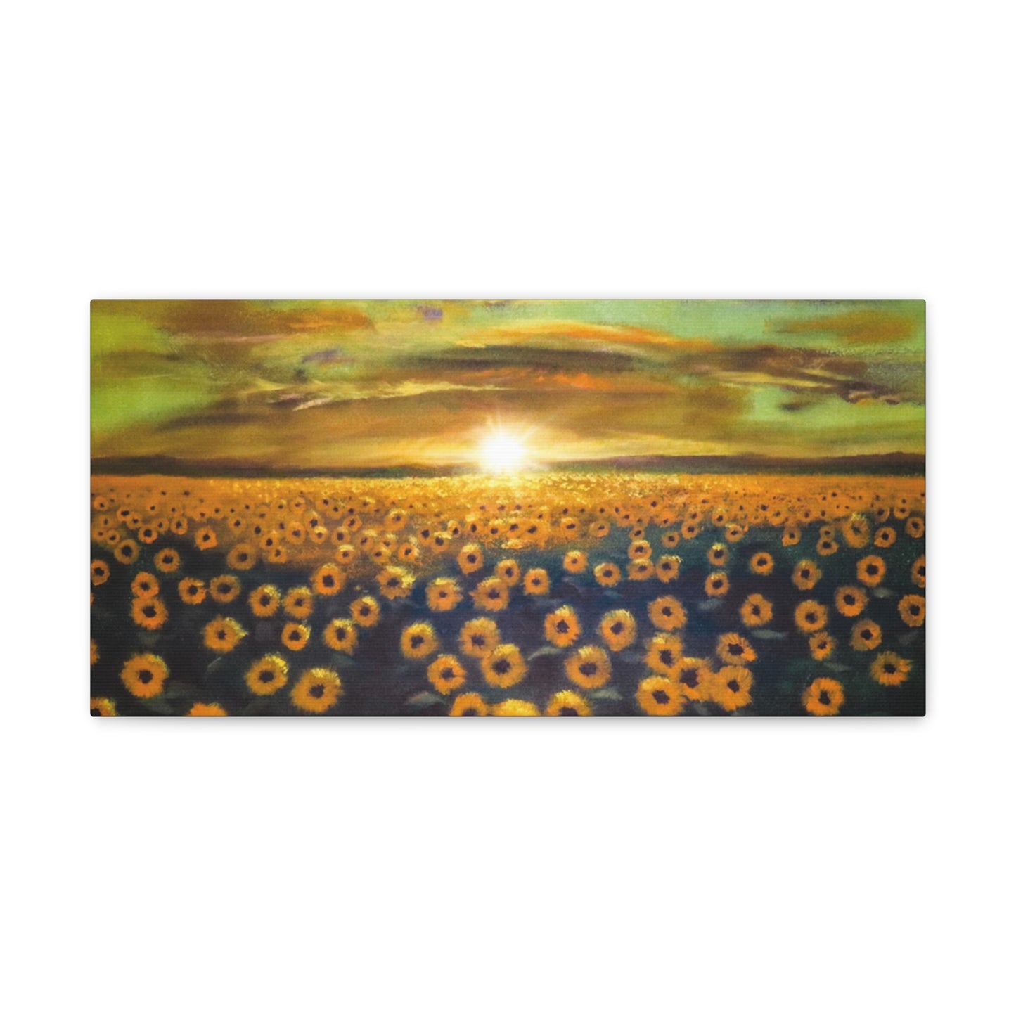 Let the Sunshine in | Canvas Print | Fine Art Collectable