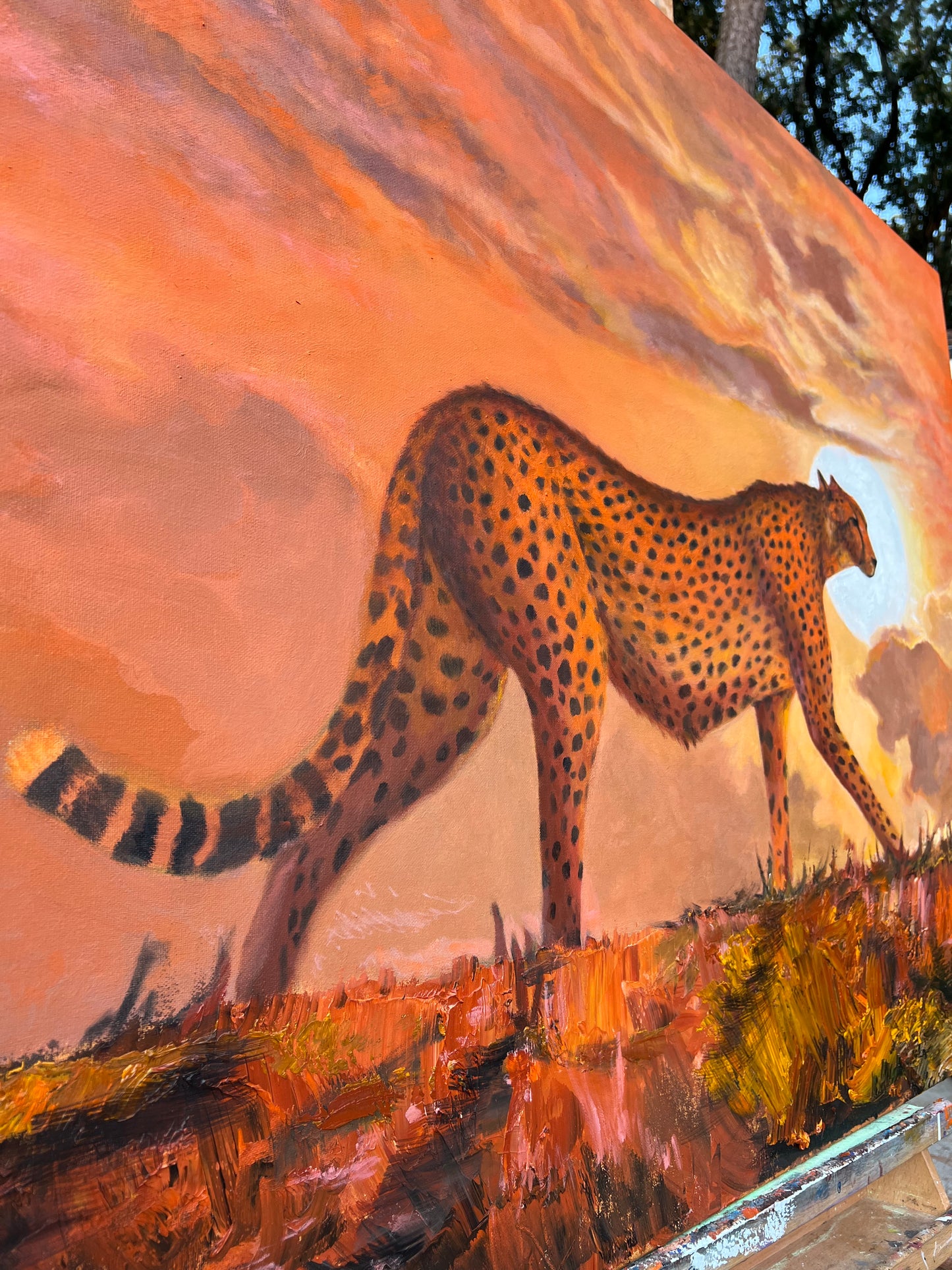 Cheetah Stroll in Sunset | Fine art Collectable | Framed Canvas print