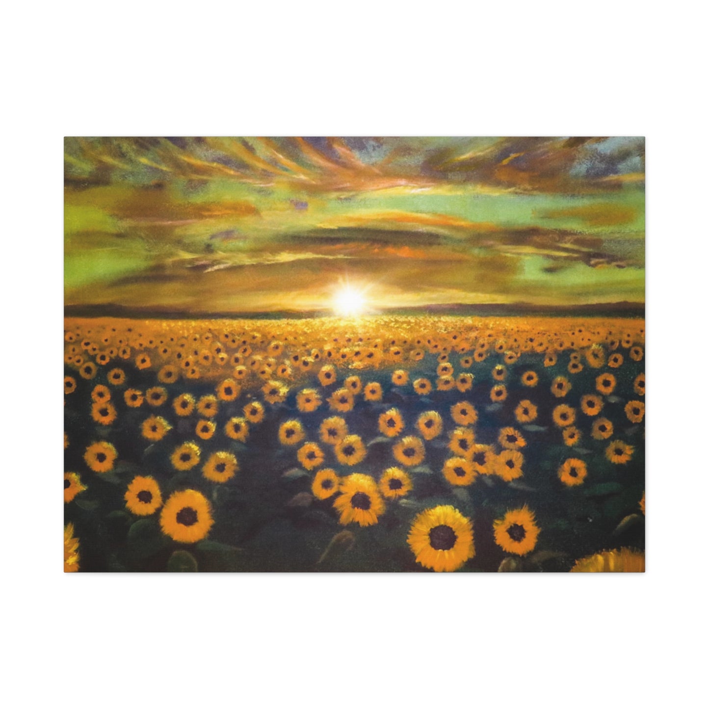 Let the Sunshine in | Canvas Print | Fine Art Collectable